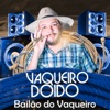 Bailão do Vaqueiro - Single