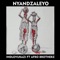 Nyandzaleyo (feat. Afro Brotherz) - Indlovukazi lyrics