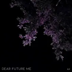Dear Future Me - Single by Vanzide album reviews, ratings, credits