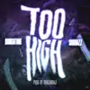 Too High (feat. Shabazz Pbg) - Single album lyrics, reviews, download