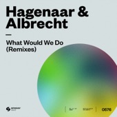 What Would We Do (Simon Ray Remix) artwork