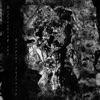 Defleshing the Serpent Infinity - Single