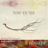 Broken Tree Branch artwork