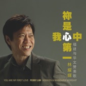 You Are My First Love (Mandarin Version) artwork