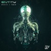 Entity - Nyatiti