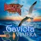 Gaviota - Adolfo Urias lyrics