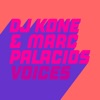 Voices - Single