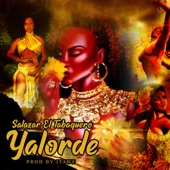 Yalorde artwork