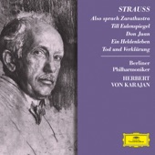 Strauss: Also Sprach Zarathustra, Till Eulenspiegel, Don Juan, Ein Heldenleben, Tod & Verklärung artwork