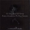 50 Shades of Grey (feat. Big Sence) - Single