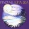 Only a Fool - Firefall lyrics