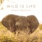 Wild Is Life artwork