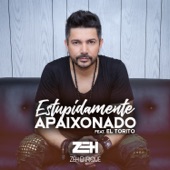 Estupidamente Apaixonado (feat. El Torito) artwork