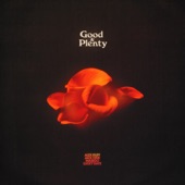 Good & Plenty (Remix) artwork