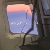 What a Life artwork