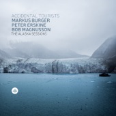 The Alaska Sessions (feat. Markus Burger, Peter Erskine & Bob Magnusson) artwork