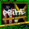 Reggaeton University 102