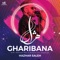 Gharibana - Hazhar Saleh lyrics