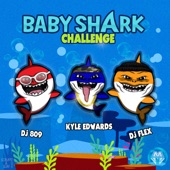 Baby Shark Challenge artwork