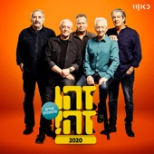 ניצחת איתי הכל (feat. Gidi Gov, Moni Moshonov, Shlomo Bar'aba, Doval'e Glickman & Avi Kushnir) artwork