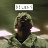 Šílený - Single