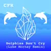 Stream & download Dolphins Don't Cry (feat. Luke Mornay) - Single