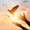 DNA Repair Frequency - Spiritual Moment lyrics