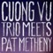 Seeds of Doubt - Cuong Vu & Pat Metheny lyrics
