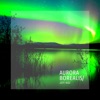 Aurora Borealis - Single