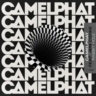 Rabbit Hole by CamelPhat & Jem Cooke song reviws