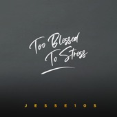 Too Blessed To Stress artwork