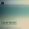 Calm Music - The Best of Relaxing and Calming Music - Calm Music Ensemble