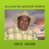 El Llano de Aquellos Tiempos - Single