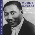 Muddy Waters - I Feel Like Going Home