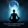 Peaceful Mindfulness: Bedtime Meditation Music, Sleep Hypnosis, Deep Relaxation, Inner Peace with Nature Embrace album lyrics, reviews, download