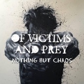 Nothing But Chaos artwork