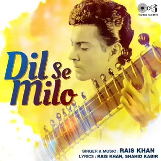 Dil Se Milo by Rais Khan album reviews, ratings, credits
