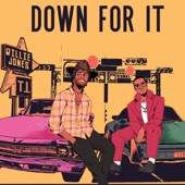 Down For It (feat. T.I.) [JD Walker Version] artwork
