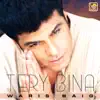 Tery Bina - Single album lyrics, reviews, download