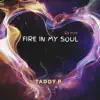 Fire in My Soul (Remix) - Single album lyrics, reviews, download