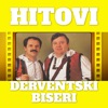 Hitovi