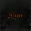 Skegee - Single album lyrics, reviews, download