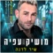 שיר לדנה artwork