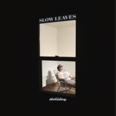 Slow Leaves - Did It Again