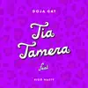 Tia Tamera (feat. Rico Nasty) song lyrics