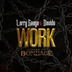 Work: Living in Bondage - Single by Larry Gaaga & Davido album reviews, ratings, credits