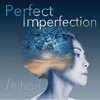 Perfect Imperfection - Single