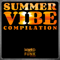 Various Artists - SUMMER VIBE Compilation artwork