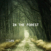 In the Forest (Acoustic Indie No Copyright) [Instrumental] - Lesfm & Olexy