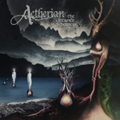 The Untamed Wilderness - Aetherian